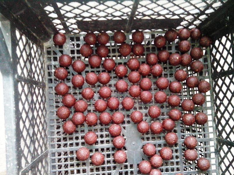 pregatiri pentru sezonul 2014  - img20140405122221.jpg